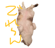 17339482
