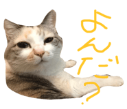 17339483