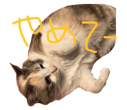 17339484