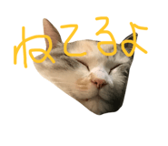 17339485