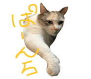 17339486
