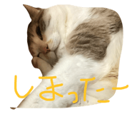 17339487