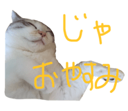 17339489