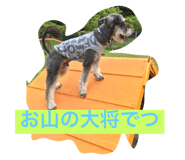 17350508