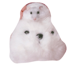 17381624