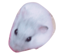 17381625