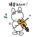 17381919