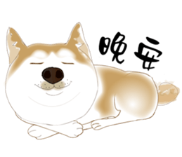 17386009