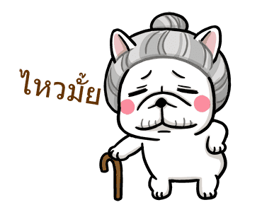 โดก้า แก๊งหมาสุดกวน 4 รูปที่ 5