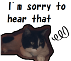 17441036