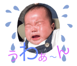 174445897