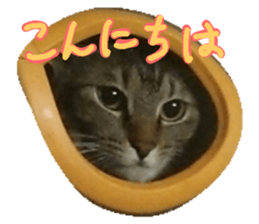 174489255