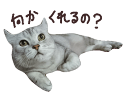 174489274