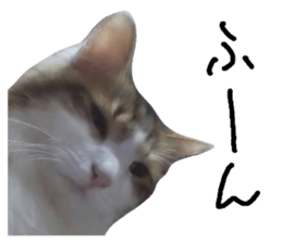 174489279
