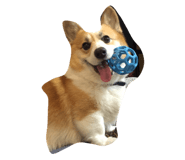 17455900