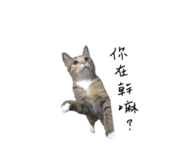 174671235