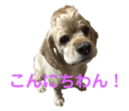 174672143