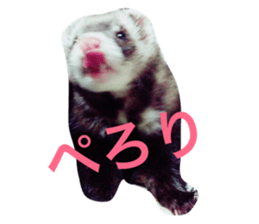 174713246
