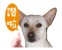 174713320
