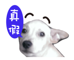174713321