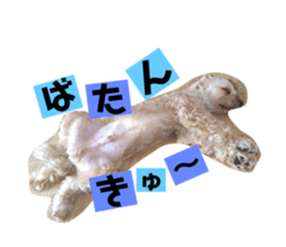 174723897