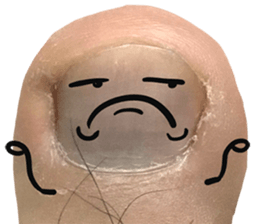 174724504