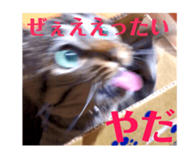 174726218