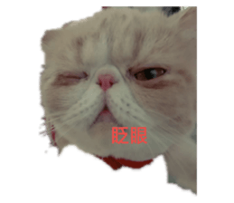 174754145