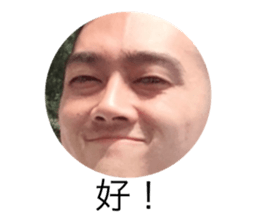 174813196