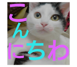 174844860