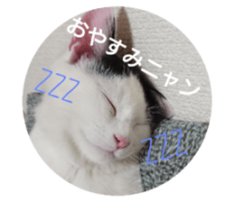174844861