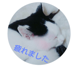174844862