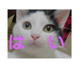 174844863