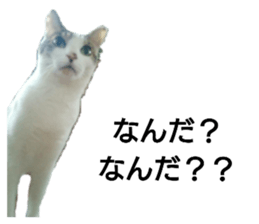 174845499