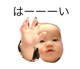 174846313