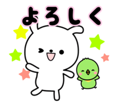 17488120