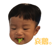 174900219