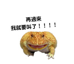 175018978