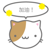 175025890