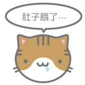 175025892