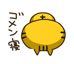 175031