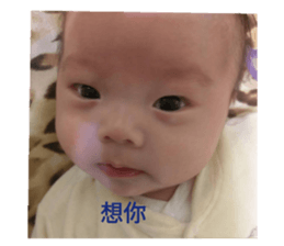 175035269