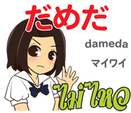 17504250
