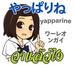 17504254