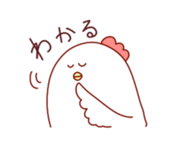 17505027