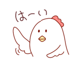 17505031