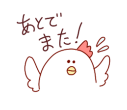 17505045