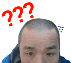 17522424