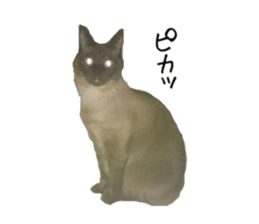 17522735