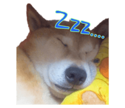 175231149